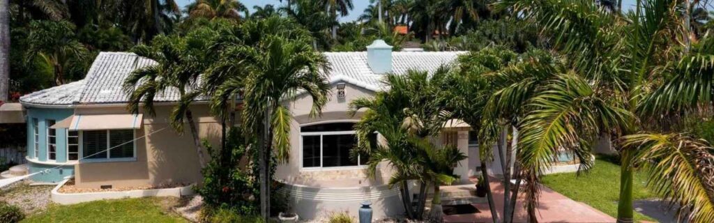 aerial view of bungalow in dominica, surrounded by palm trees