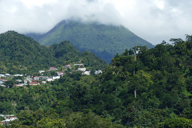 dominica 4921396 640