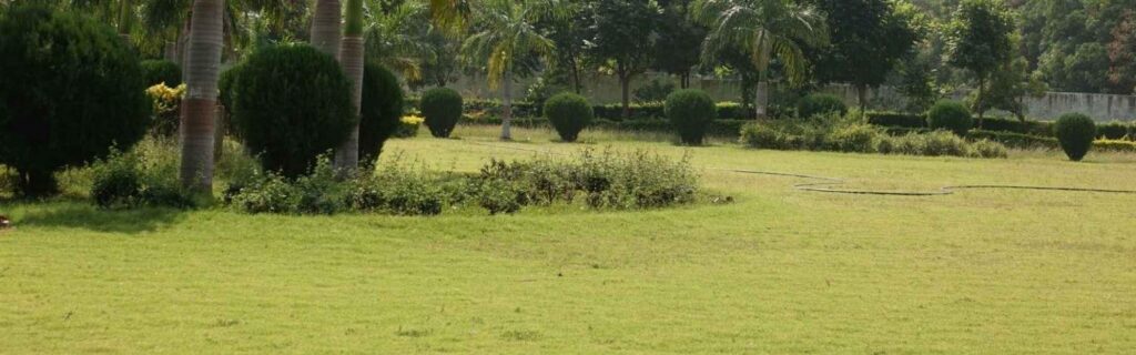 land lot in dominica with trees and a mountain in the background