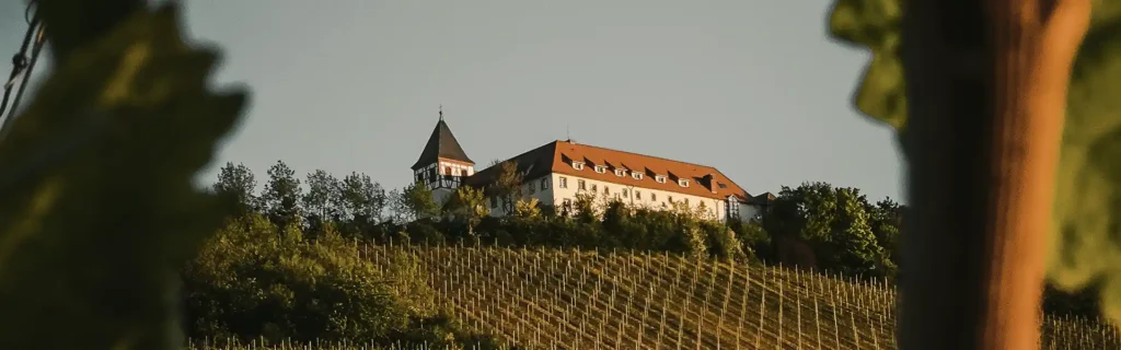 property-douro-valley-portugal