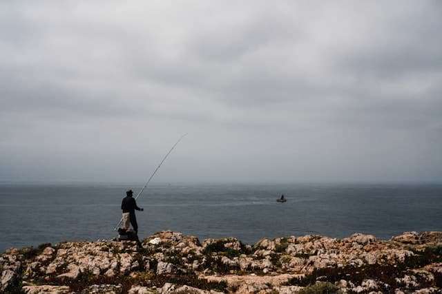 aliaksei lepik ycCHuR7MITE unsplash