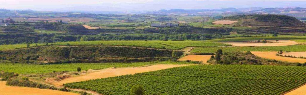 panoramic view of farm land in europe