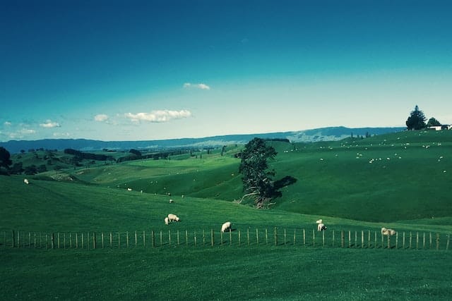 New Zealand best countries 2023 Global Passport Index