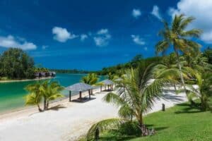 scenic view of a beach in vanuatu with blue skies and palm trees