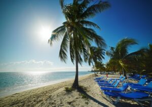 Palm trees and blue beach chairs on the beach in the Bahamas - No capital gains tax countries