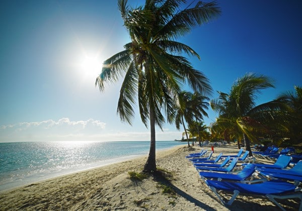 Beach chairs and palm trees on a beach in the Bahamas - zero-tax countries in the Caribbean