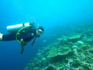 man scuba diving in Scotts Head Marine Reserve