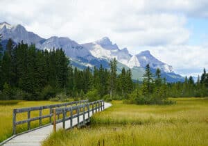 green grass field under white clouds across Canadian Rockies
