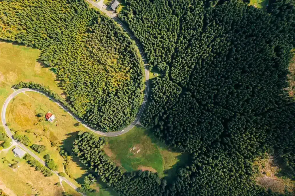 Aerial view of a winding road surrounded by dense green forest - digital nomad-friendly countries