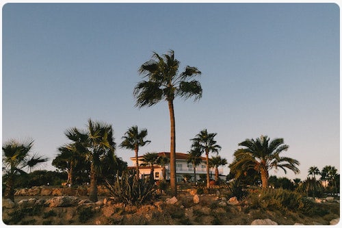 Why-Cyprus