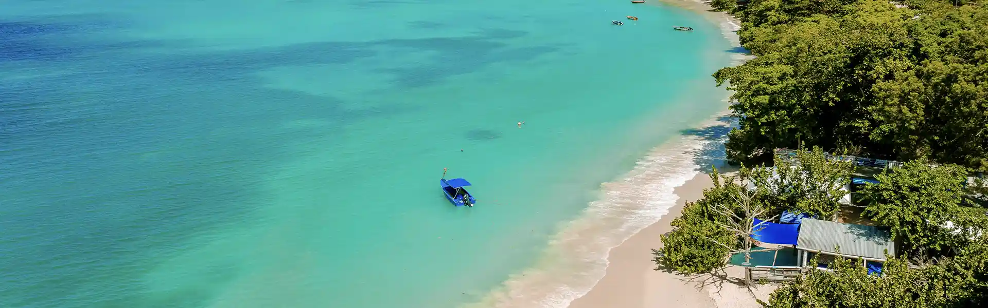 Aerial view of a beach in Grenada