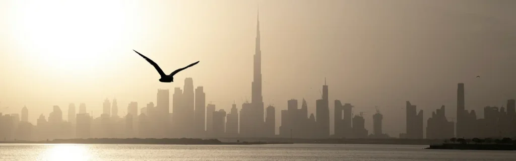 Dubai skyline at dawn with flying bird: Real Estate Investment UAE