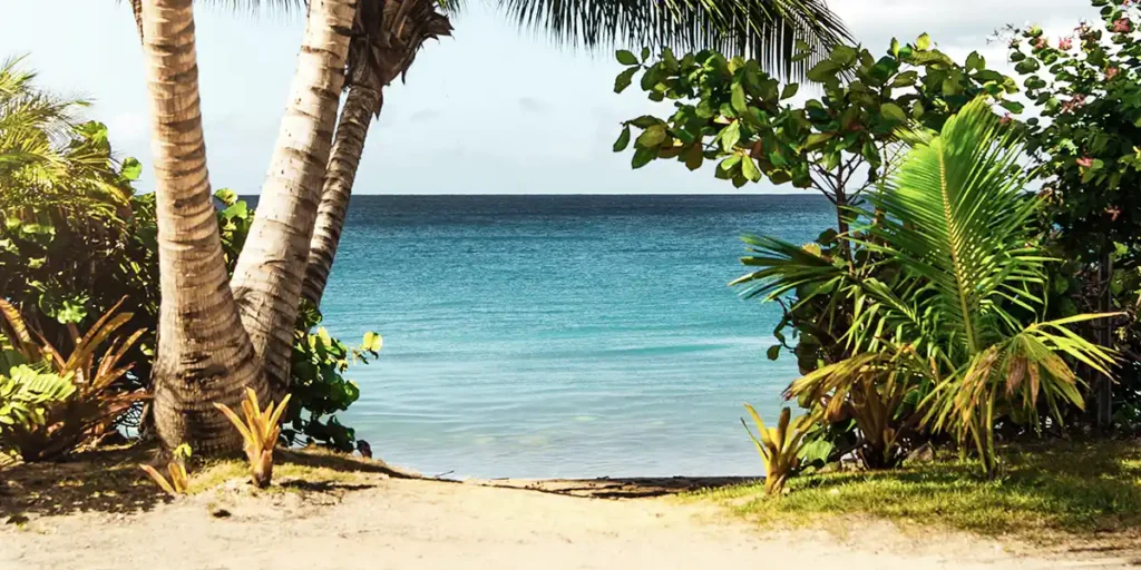 puerto-rico-short
