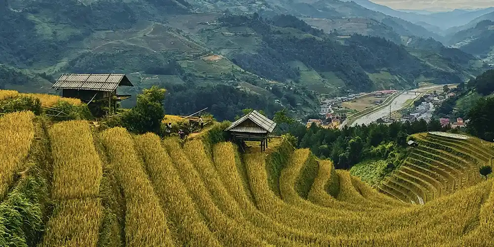 vietnam-short