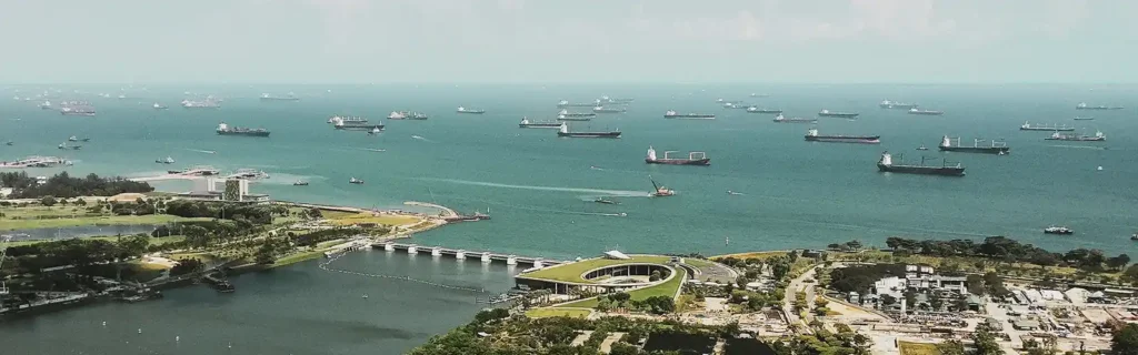 singapore-ships-long