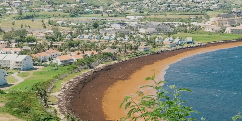 aerial coastal view in st kitts